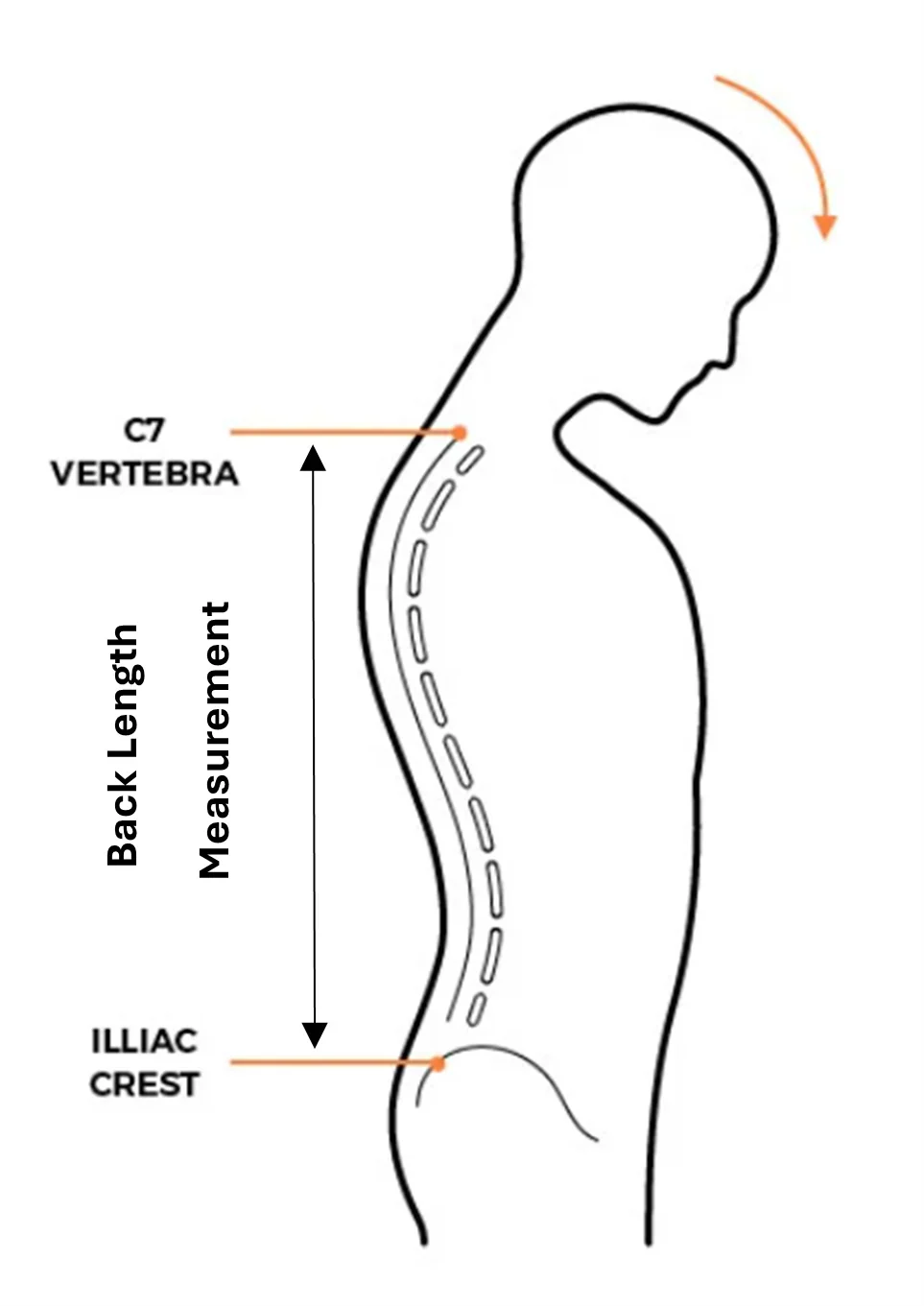 Whippa Pack Size Guide